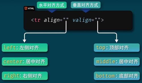 图片 5